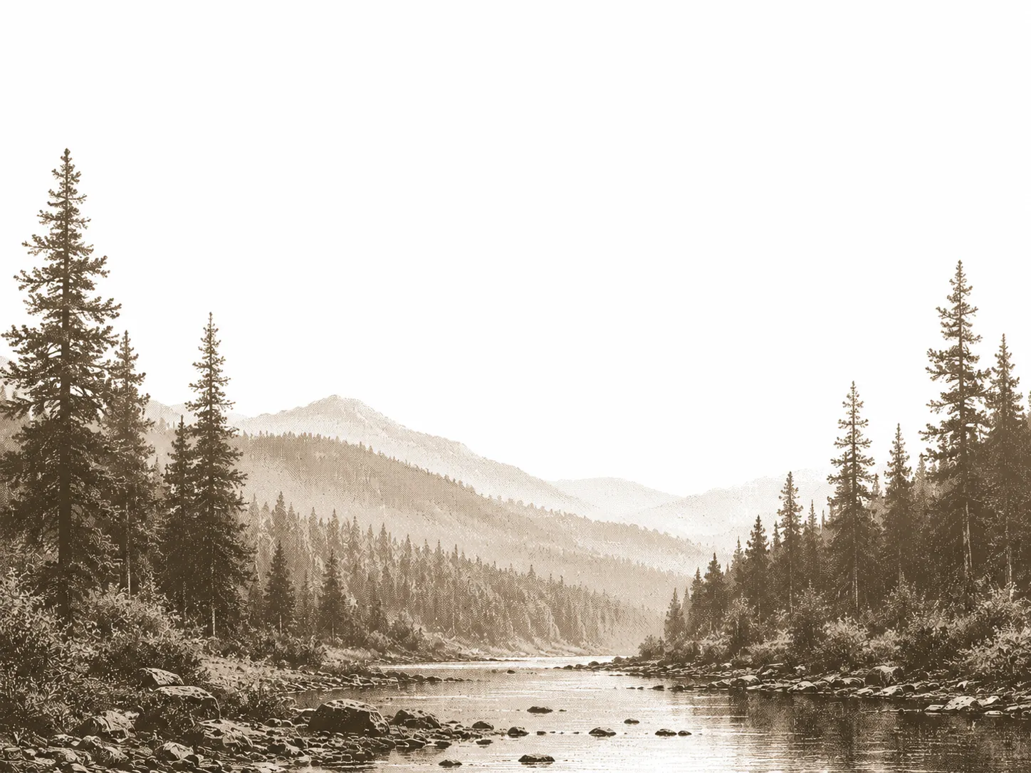 Black and white illustration of pine forest with mountains and winding path representing sustainability journey