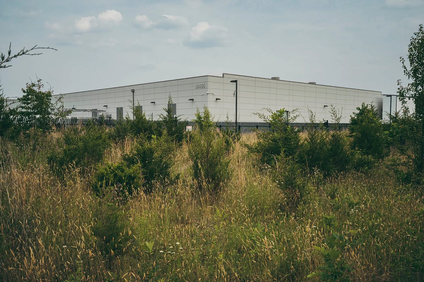 Rows of evergreen screening trees planted along a data center perimeter.
